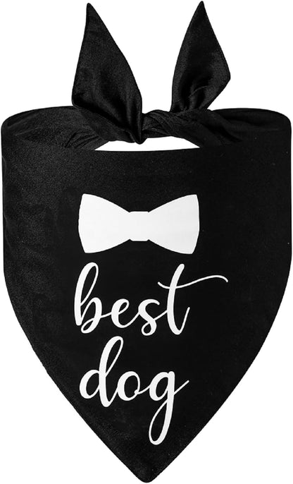 Dog of Honor Wedding Scarf