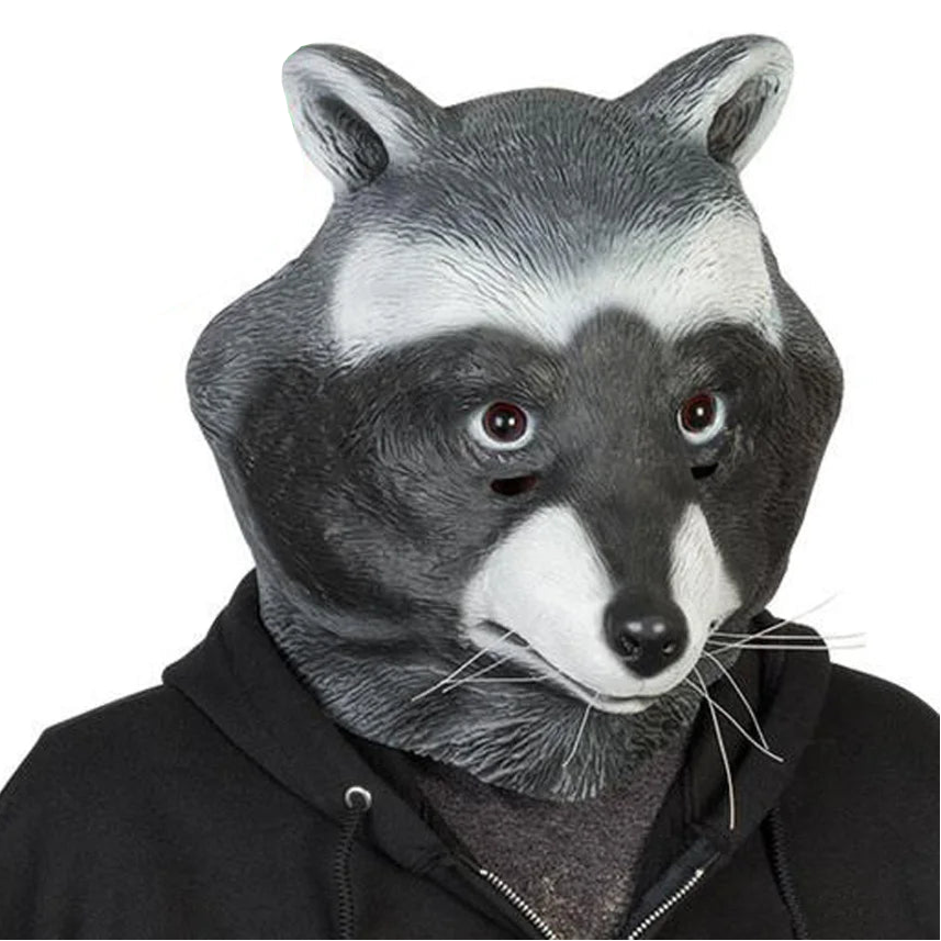 Racoon Mask