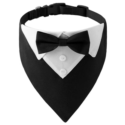 Bow Tie Dog Collar