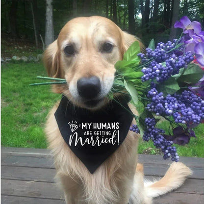 Dog of Honor Wedding Scarf