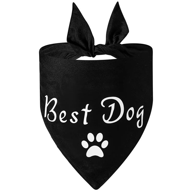 Dog of Honor Wedding Scarf