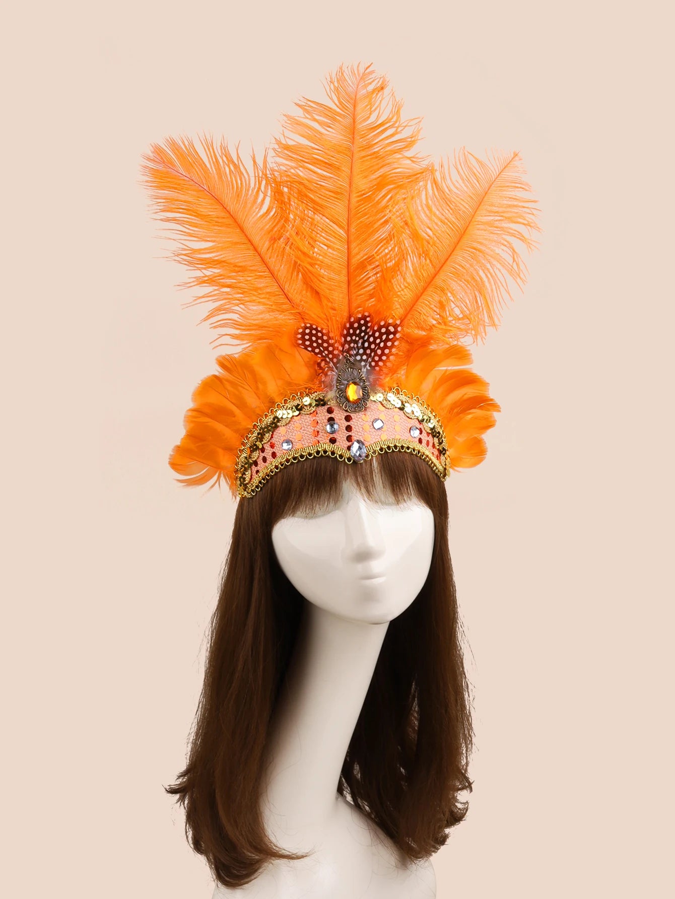 Feather Headpiece