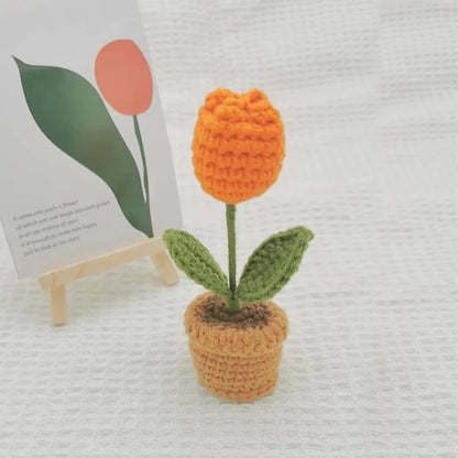 Hand-Knitted Crochet Potted Flowers