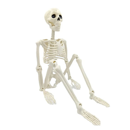 Skeleton 40cm