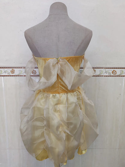 Princess Cosplay Costume