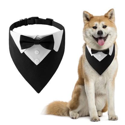 Bow Tie Dog Collar