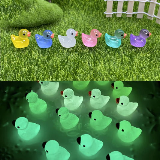 Mini Ducks 50Pcs