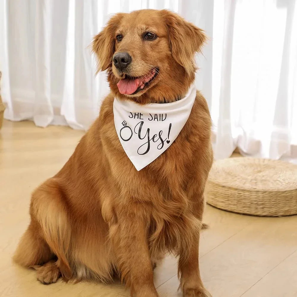 Dog of Honor Wedding Scarf