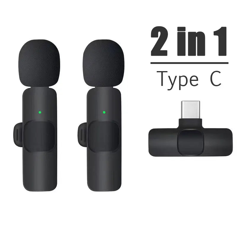 Wireless Portable Microphone