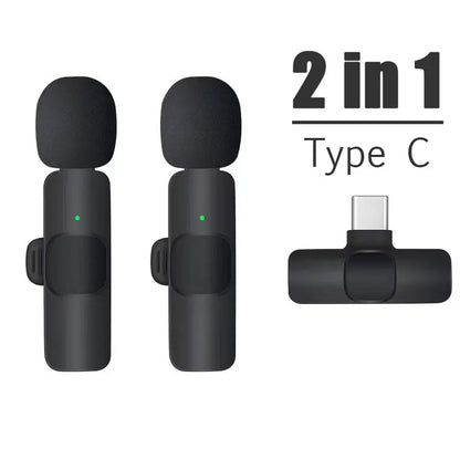 Wireless Portable Microphone