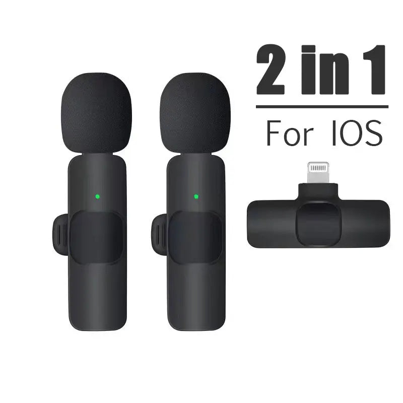 Wireless Portable Microphone