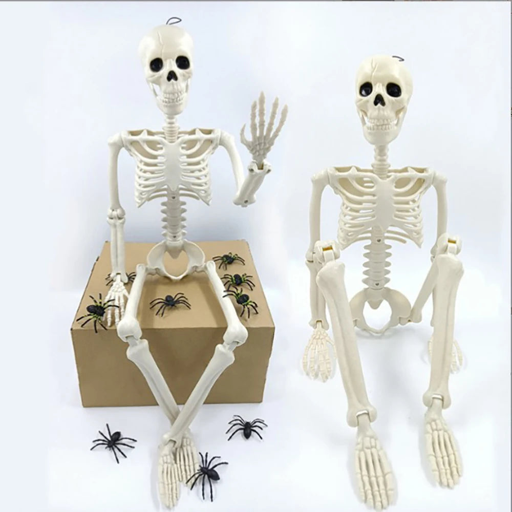 Skeleton 40cm