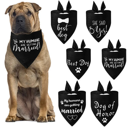 Dog of Honor Wedding Scarf