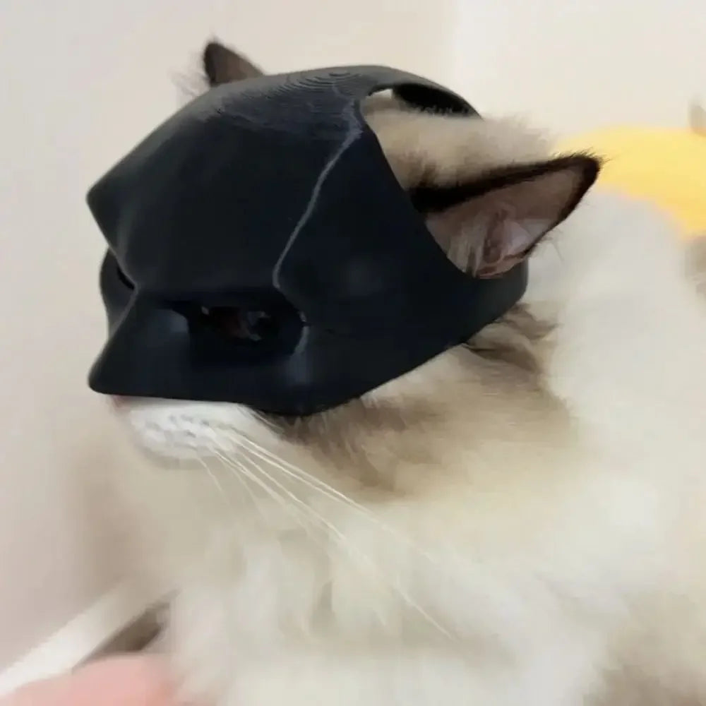 Bat Cat Mask