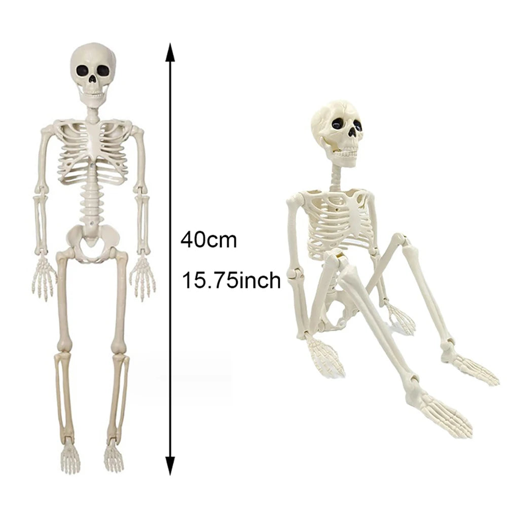 Skeleton 40cm