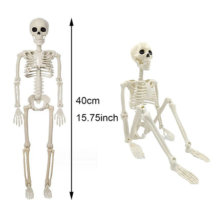 Skeleton 40cm