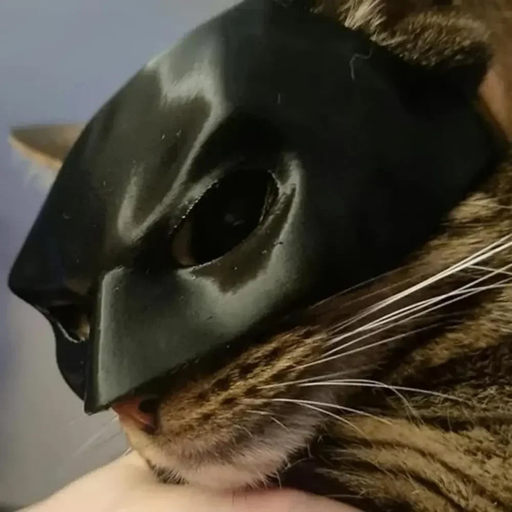 Bat Cat Mask