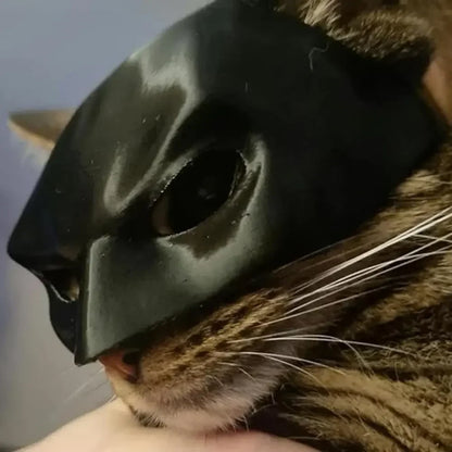 Bat Cat Mask