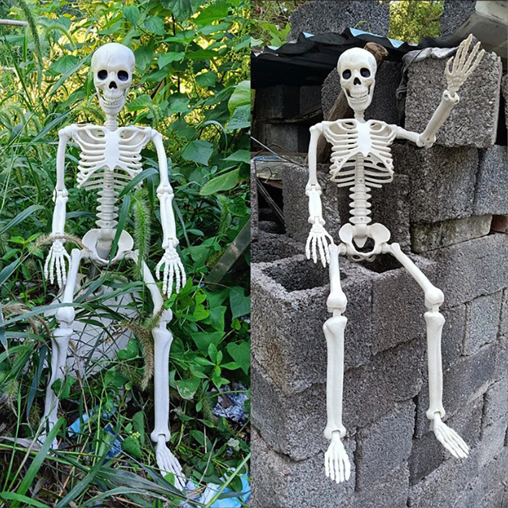 Skeleton 40cm