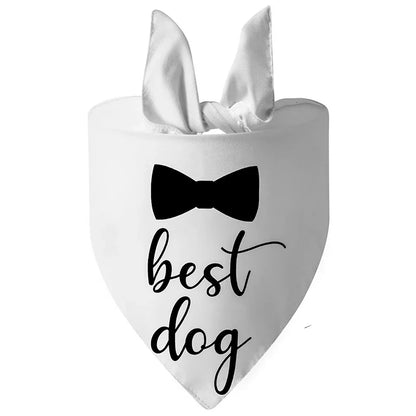 Dog of Honor Wedding Scarf