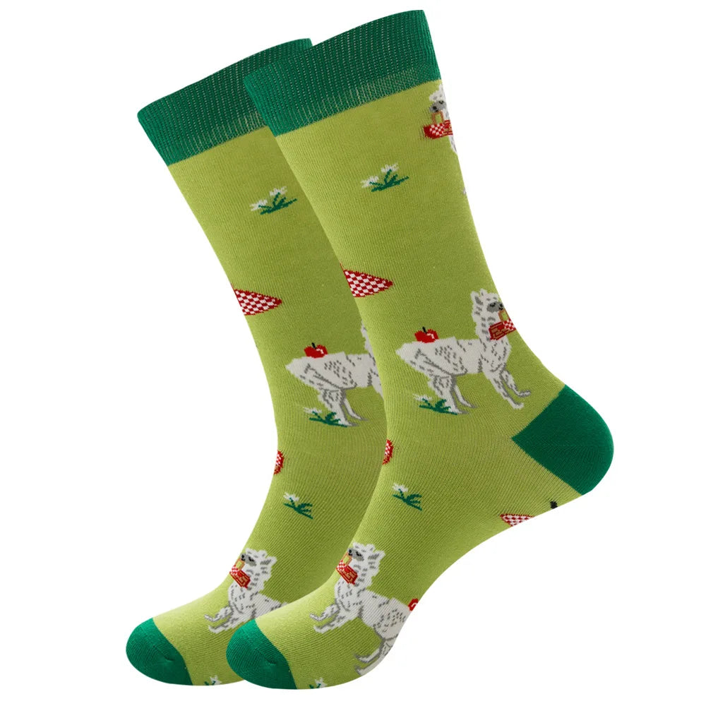 Fun Socks