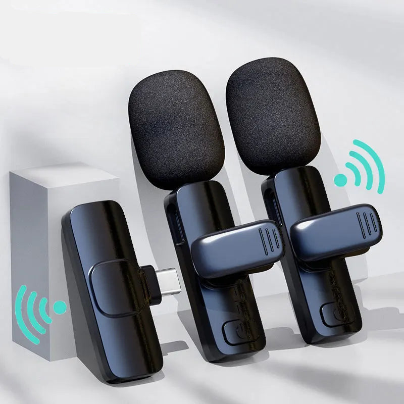 Wireless Portable Microphone