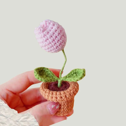 Hand-Knitted Crochet Potted Flowers