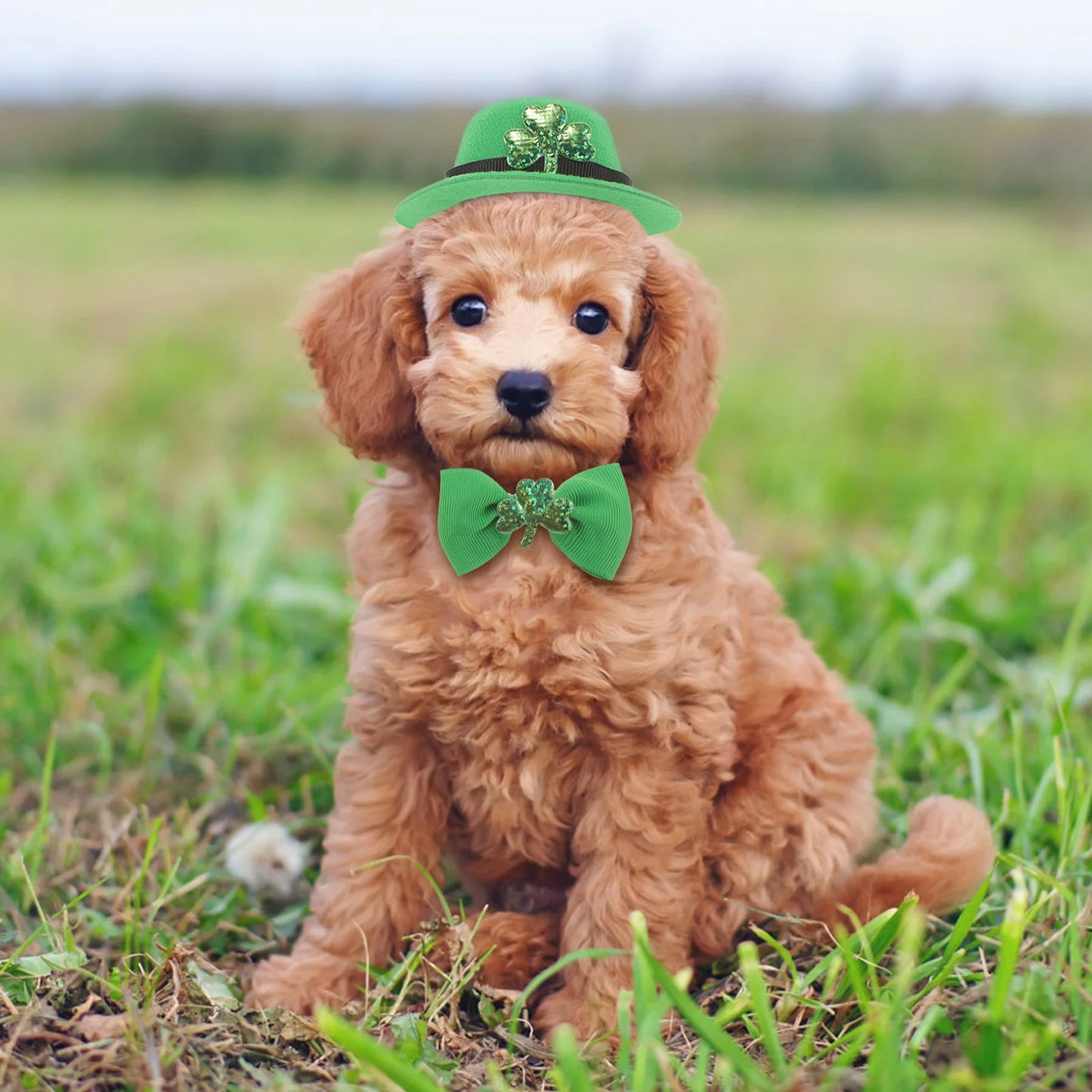 Dog/Cat Hat and Tie St Patrick's