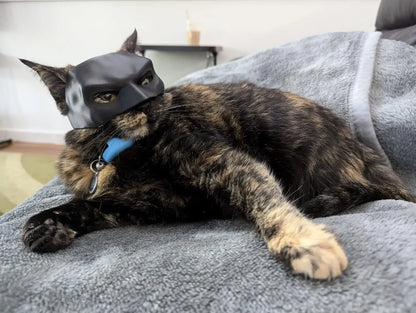 Bat Cat Mask