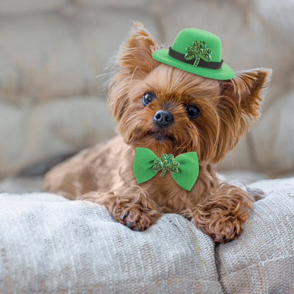 Dog/Cat Hat and Tie St Patrick's