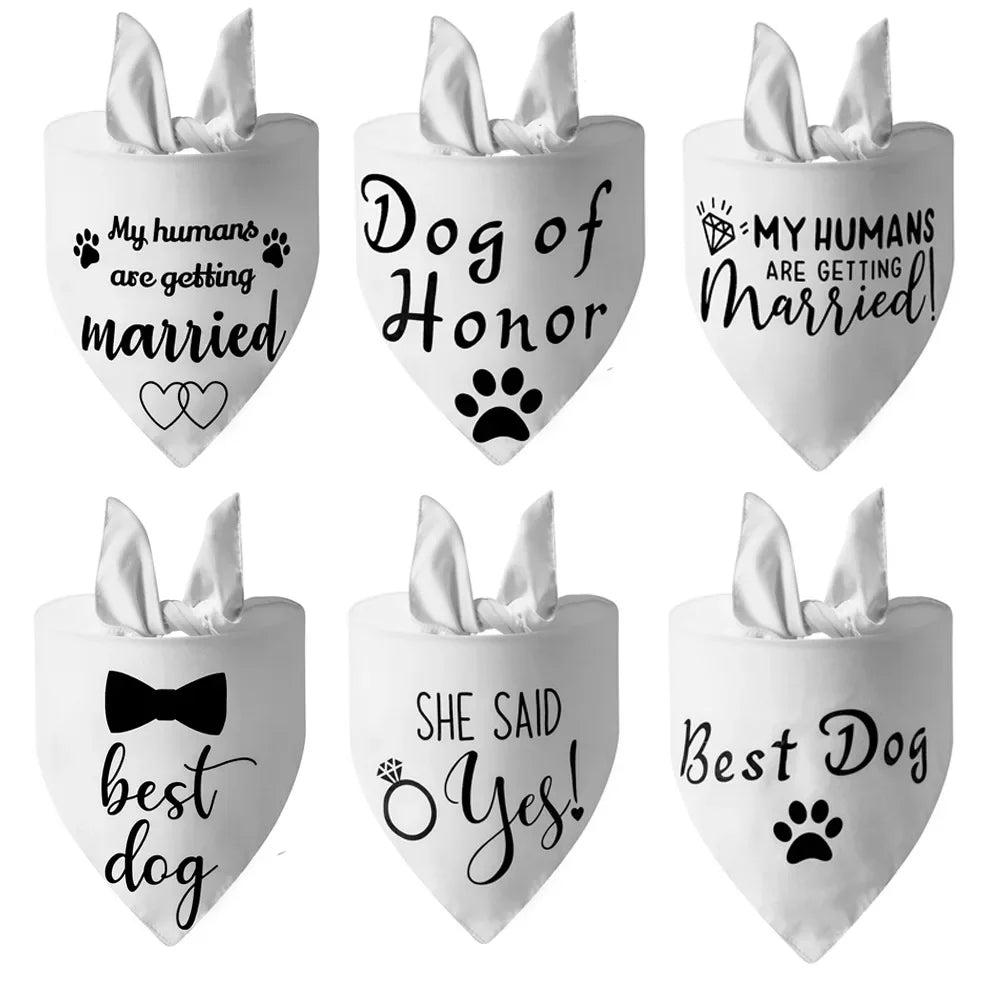 Dog of Honor Wedding Scarf