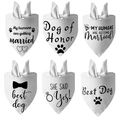 Dog of Honor Wedding Scarf