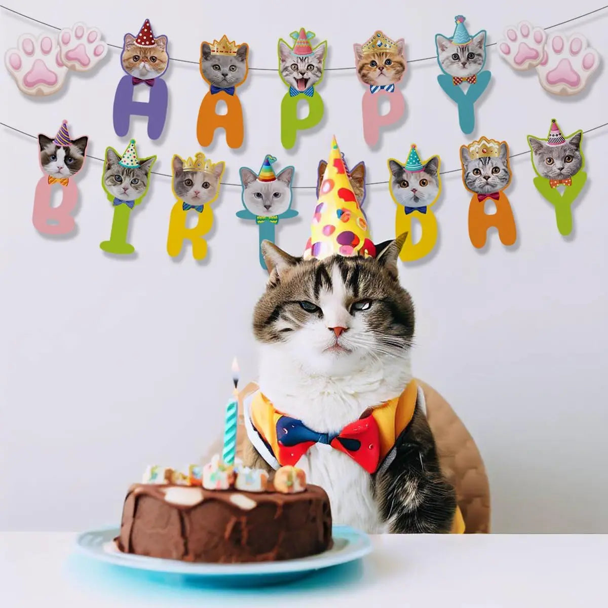 Cat/Dog Birthday Banner