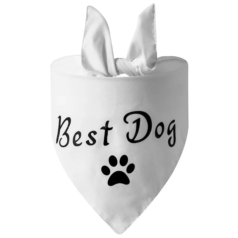 Dog of Honor Wedding Scarf