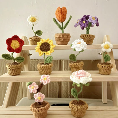 Hand-Knitted Crochet Potted Flowers