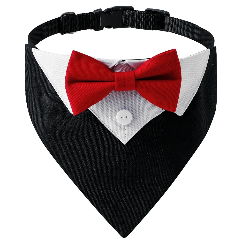 Bow Tie Dog Collar