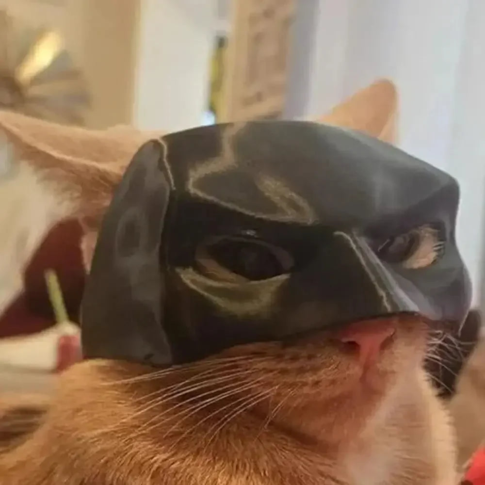 Bat Cat Mask