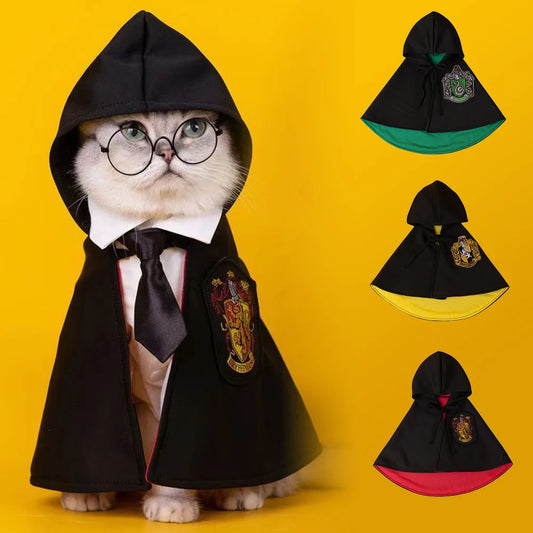 Animal Wizard Costume